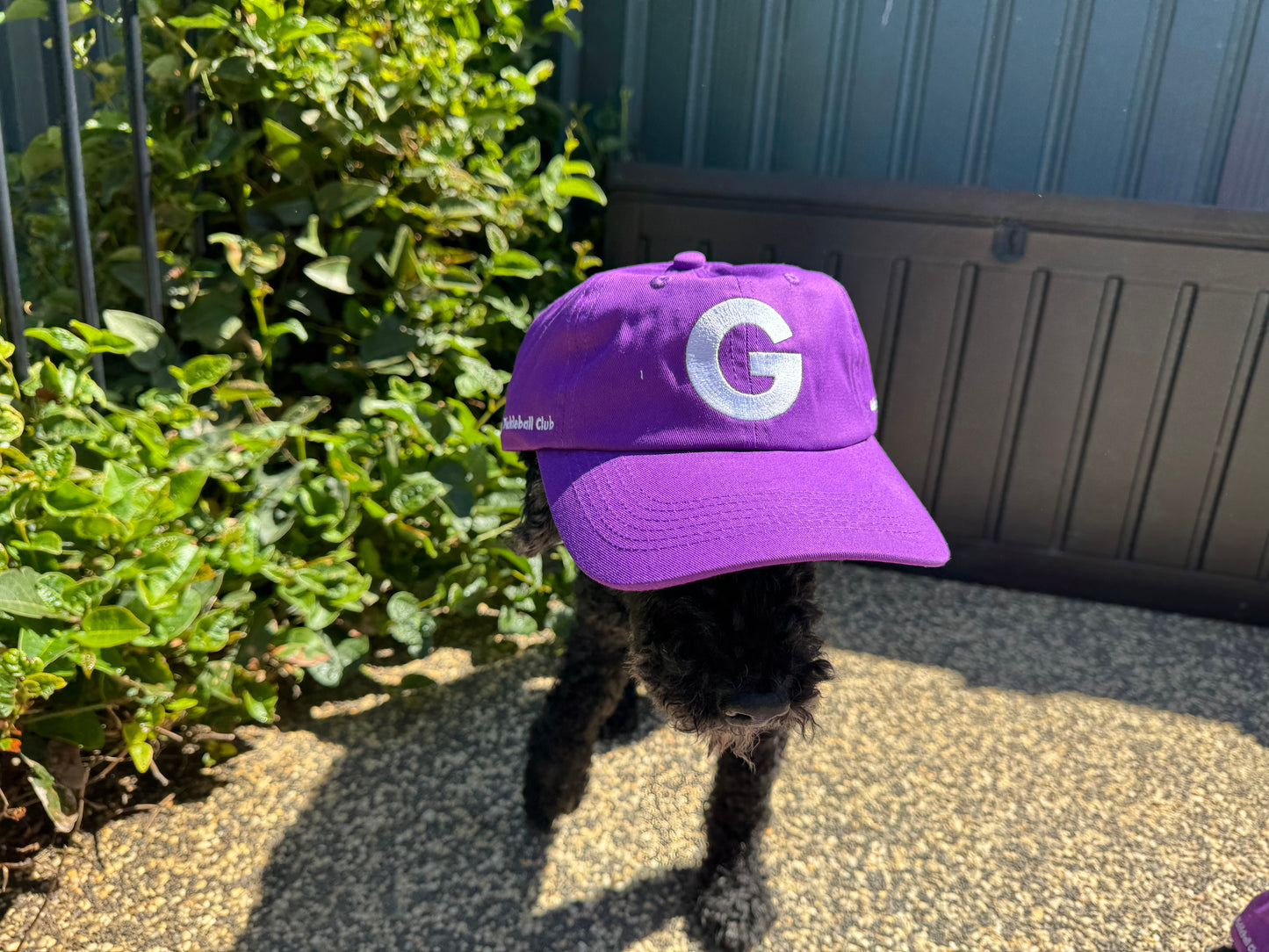 Geelong Pickleball Club Cap